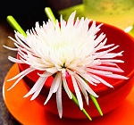 ������� ������� kildare ����� ��� ����������